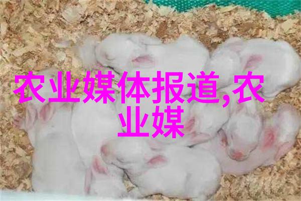 适合懒人种植果树有哪些-零碎时间的果实收获适合懒人种植的10种低维护果树