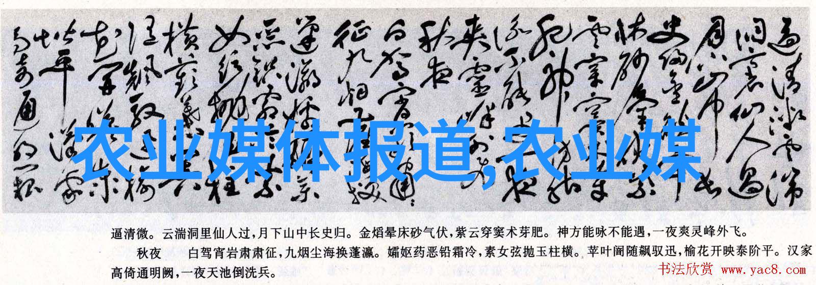 农业带的构成与功能研究探索农产品流通体系的关键环节