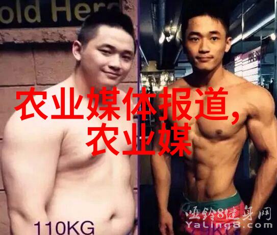 揭秘茶道一杯子的文化与科技