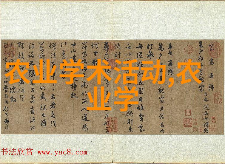 今日缅甸新闻最新消息我眼中的缅甸和平与发展的双引擎