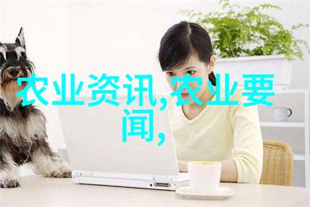 壁虎养殖技术研究优化环境与增强繁殖能力的策略探究