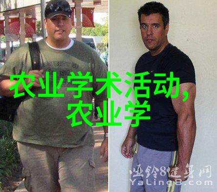 风流军师智冠天下的策略之星