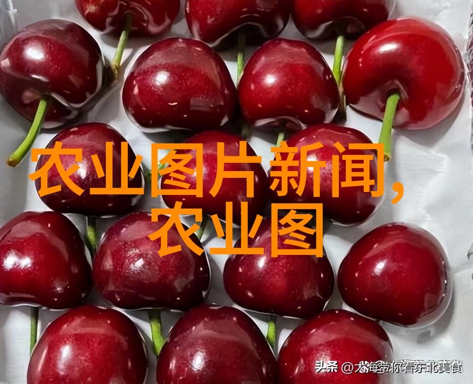 南方药材种植项目哪种最好 - 选择最佳配方探索南方药材种植的黄金路径