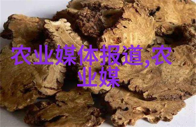 农业科技创新推动农业现代化发展的关键技术与应用