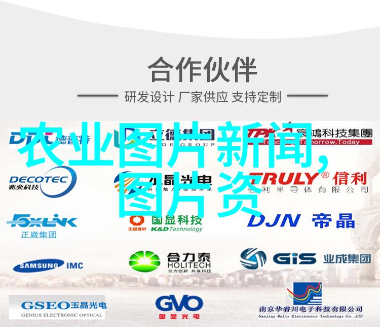 园艺学视角下的好看好养盆栽花卉选择与维护策略研究