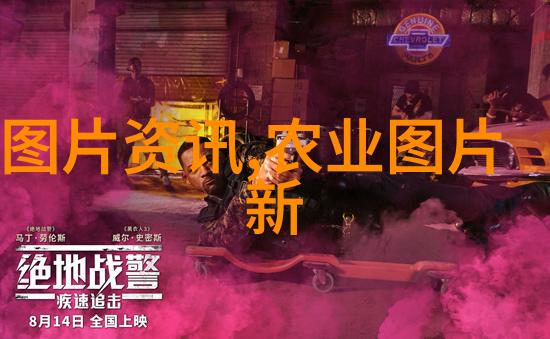 家中摆放何花能镇宅又带来吉运