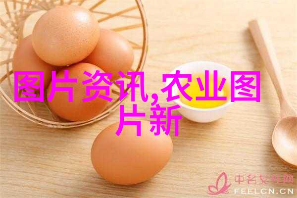 农村养殖新潮流从土鸡到花蛙变身为亿万富翁的秘密