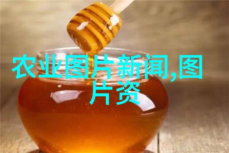 绿意盎然种子里的丰收秘密