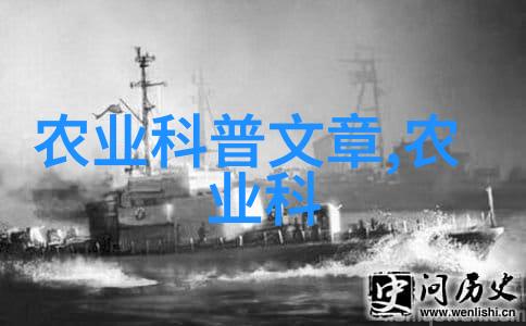 镜像之巅jealousvue成熟分类的艺术探究