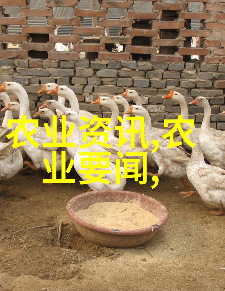 茶文化与品鉴深入了解茶的历史种类和品味