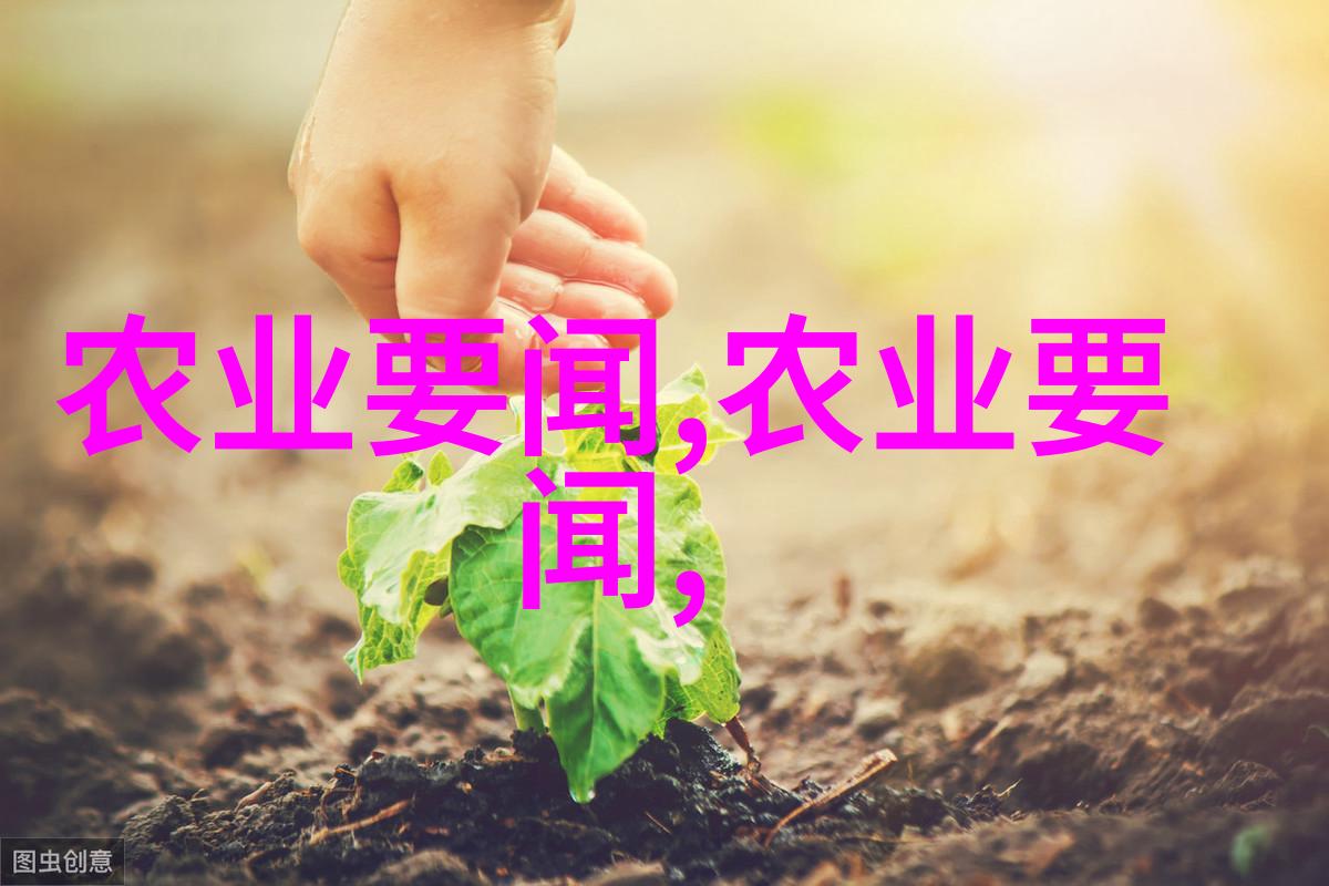 儿童怎样学习和参与家庭中的植物和资源的循环利用呢