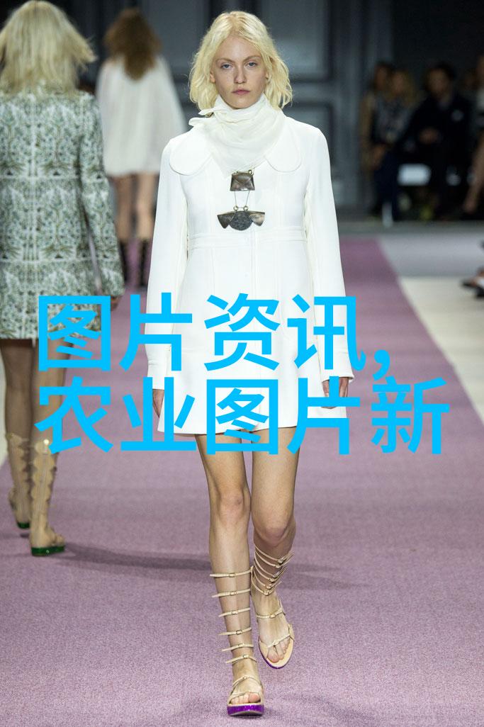 玉器展览会传统工艺与现代设计的精妙融合