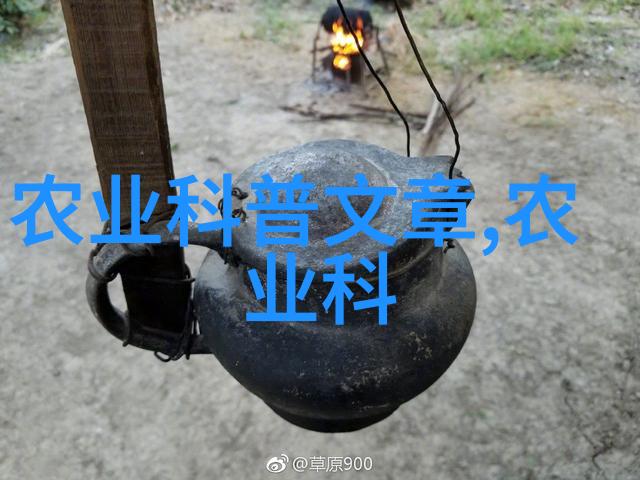 一年种菜时间表春季播种夏日浇水秋天收获冬眠准备