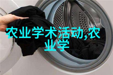 函数包括什么和什么两类