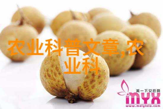碧绿翠茵无土栽培的有机蔬菜奇迹