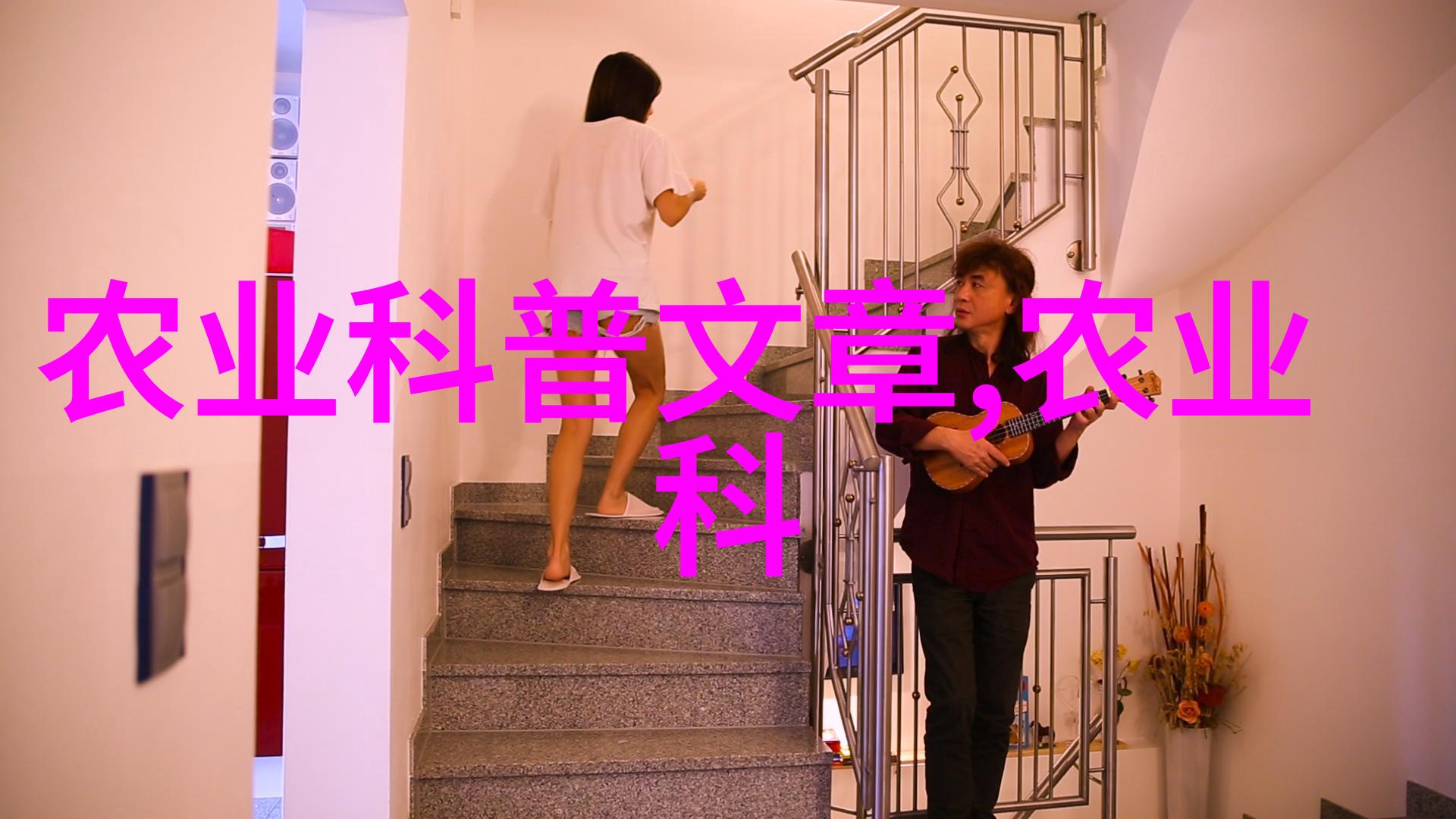 鸽子养殖智慧小猪耳朵紫斑体温低需及时治疗