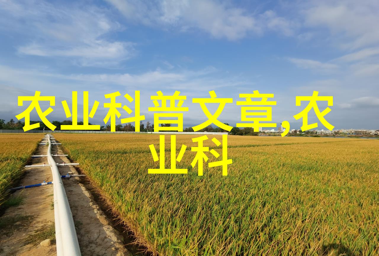 三菱药材种植市场前景技术之谜语大全及答案夸张解析