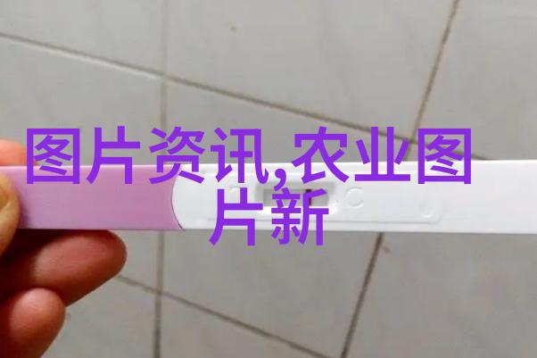 渭南蒲城县农业农村局来合学习交流农产品质量安全工作
