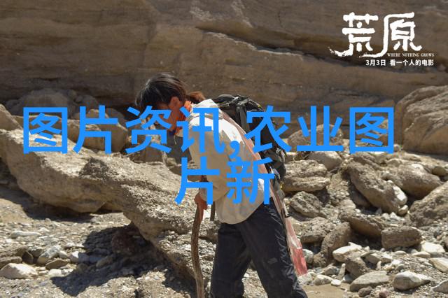 如何合理安排肉鸡饲料营养成分