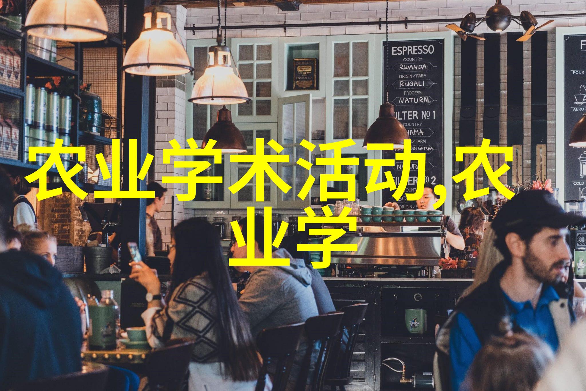 蜜蜂分蜂指南从忙碌的工蜂到悠闲的女王轻松学会