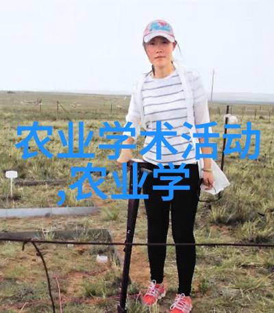 皮带轮 - 驱动力源揭秘皮带轮的工作原理与应用