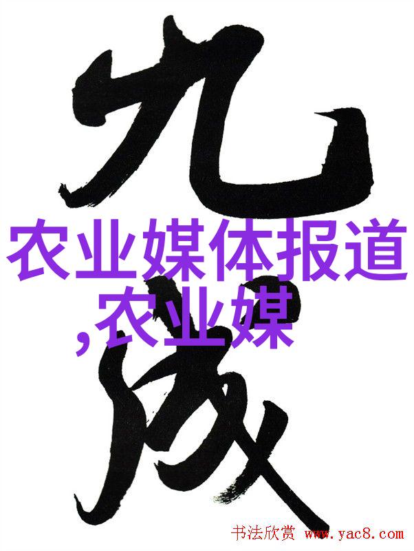 品鉴茶韵探索茶的文化与技艺