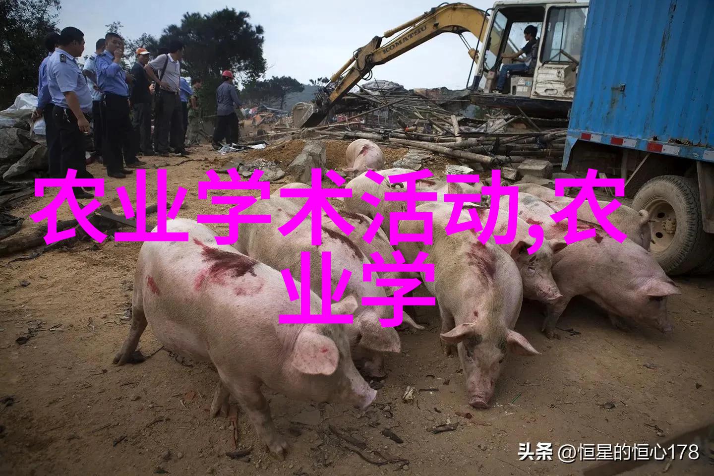 茶树叶片的秘密