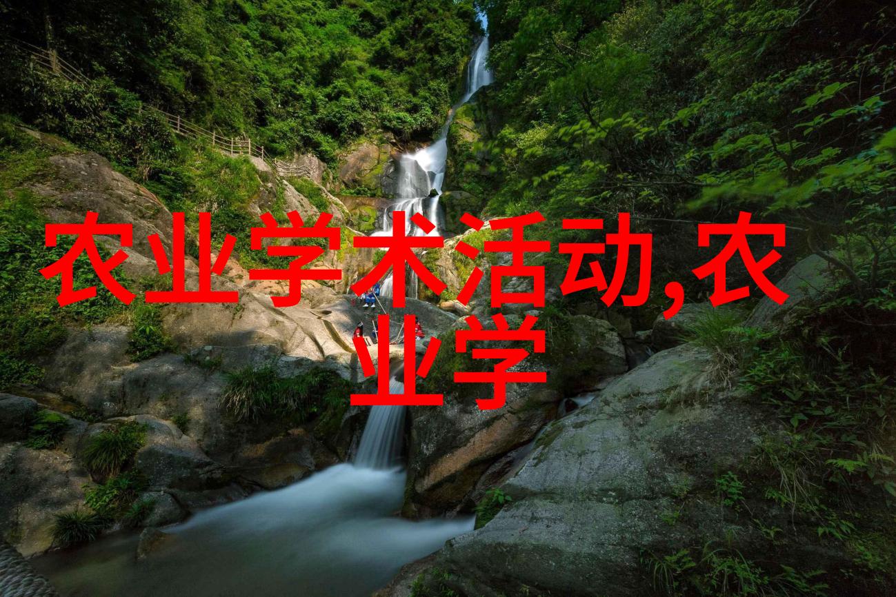 牛球虫病