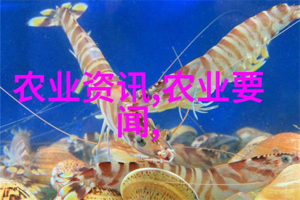 五十岁以上劳动者求职信息中老年人才招聘