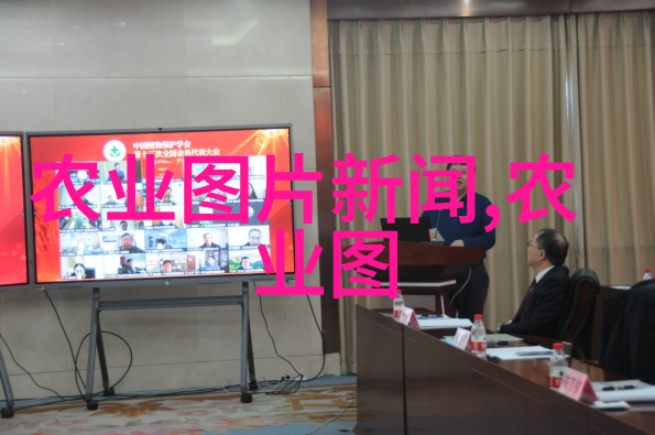 让孩子参与进来教子手册带孩子一起种植十字花科蔬菜