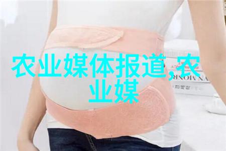 金枝槐的魅力与价格分析