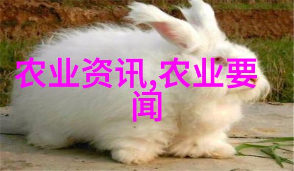 创意思维训练课程设计与实施实践指南