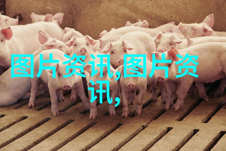 农民如何通过养殖业挣钱