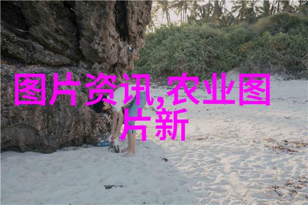 数字田野万农网的智能农业革命