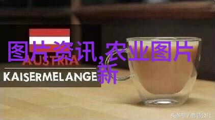 盆栽花卉批发哪里便宜我在网上找到了一个超级划算的地方