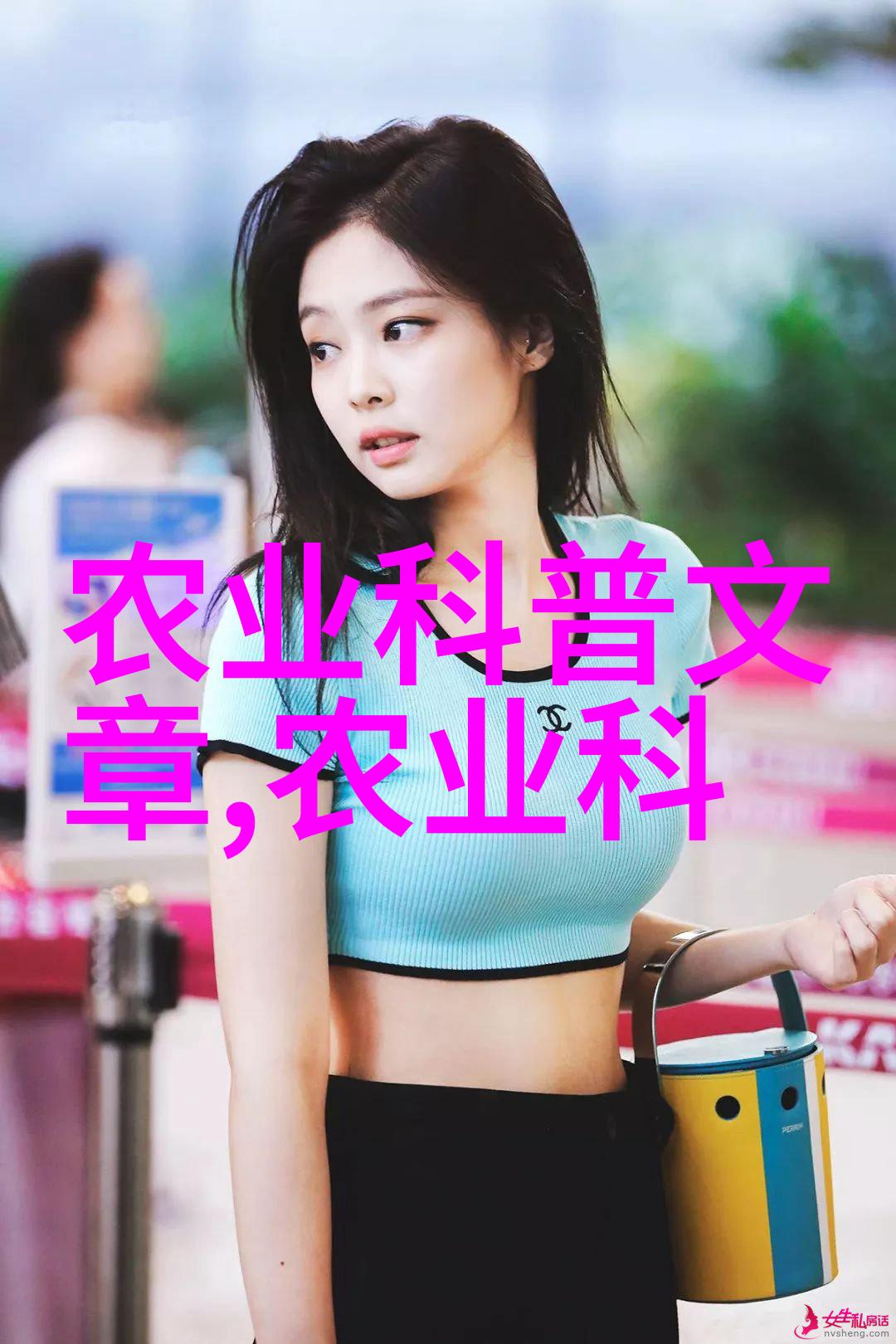 茶树的缥缈叶间沉默的诗篇