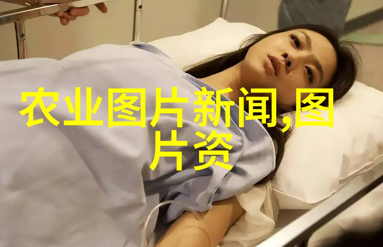 明星造梦49区我的偶像成长记