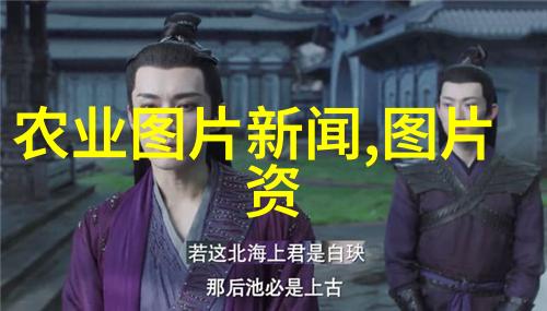 蜜蜂养殖入门知识我来教你怎么开始养蜂了