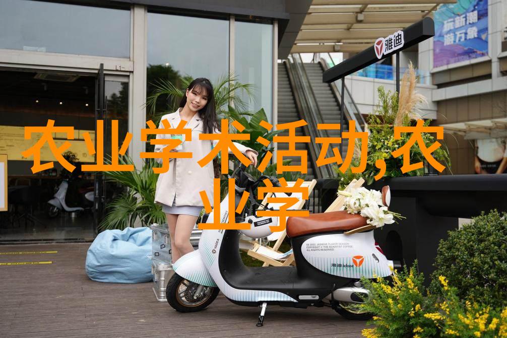 从史记到今任讷文化影响力探究