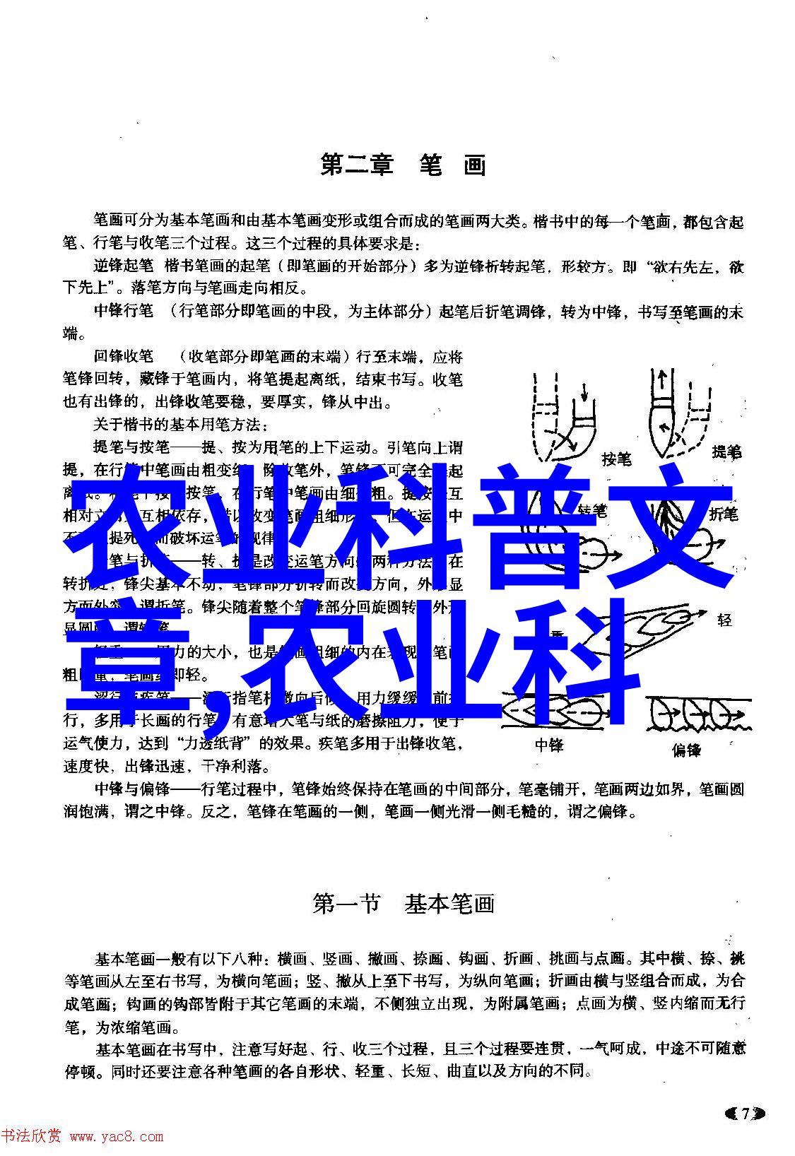 猪坚强屹立于泥土的勇士