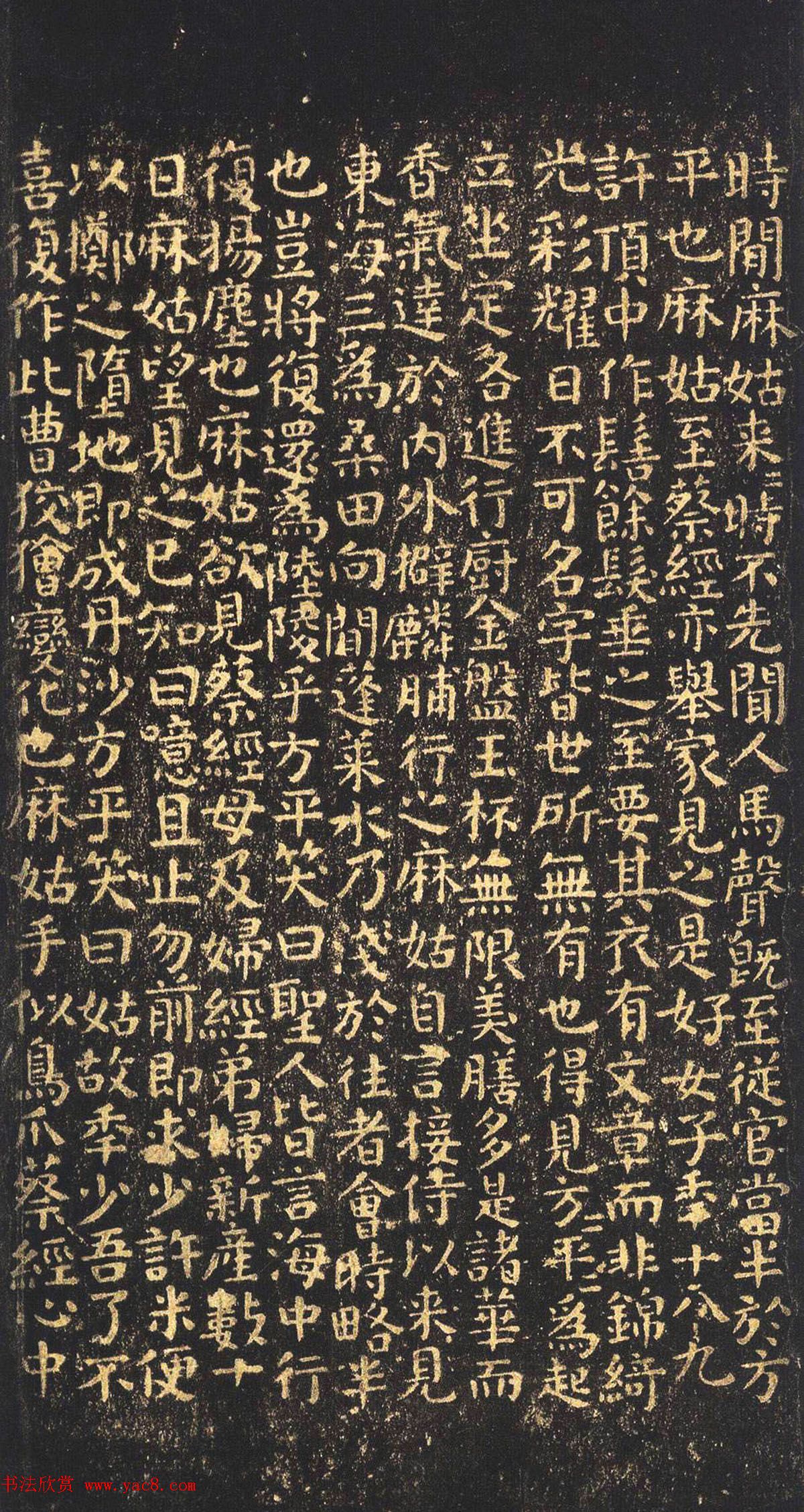 神奇养蜂技术蜂蜜制作蜂群管理无害化处理