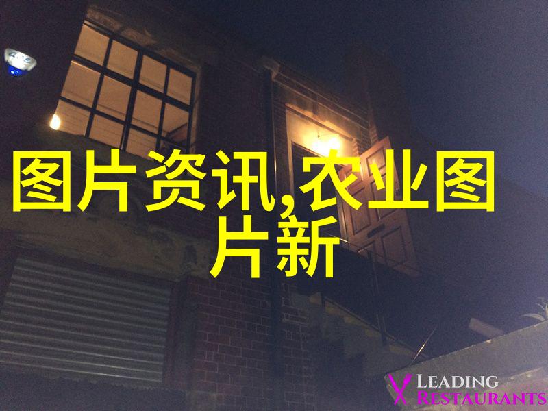 家里最旺财的十种花树-盈门富贵选择最佳财源之树