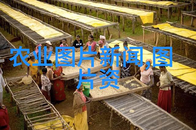 我国法律法规大全你必须知道的中国法律宝典