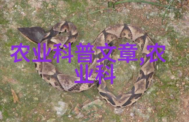 红叶下的投资十年一棵的财富之树