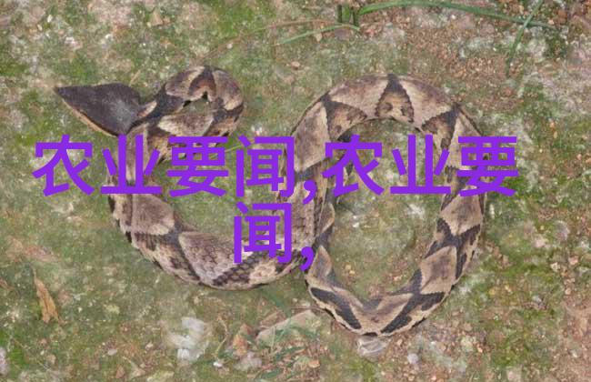 苗木种植-绿意盎然的园林艺术 从选择至养护的全过程