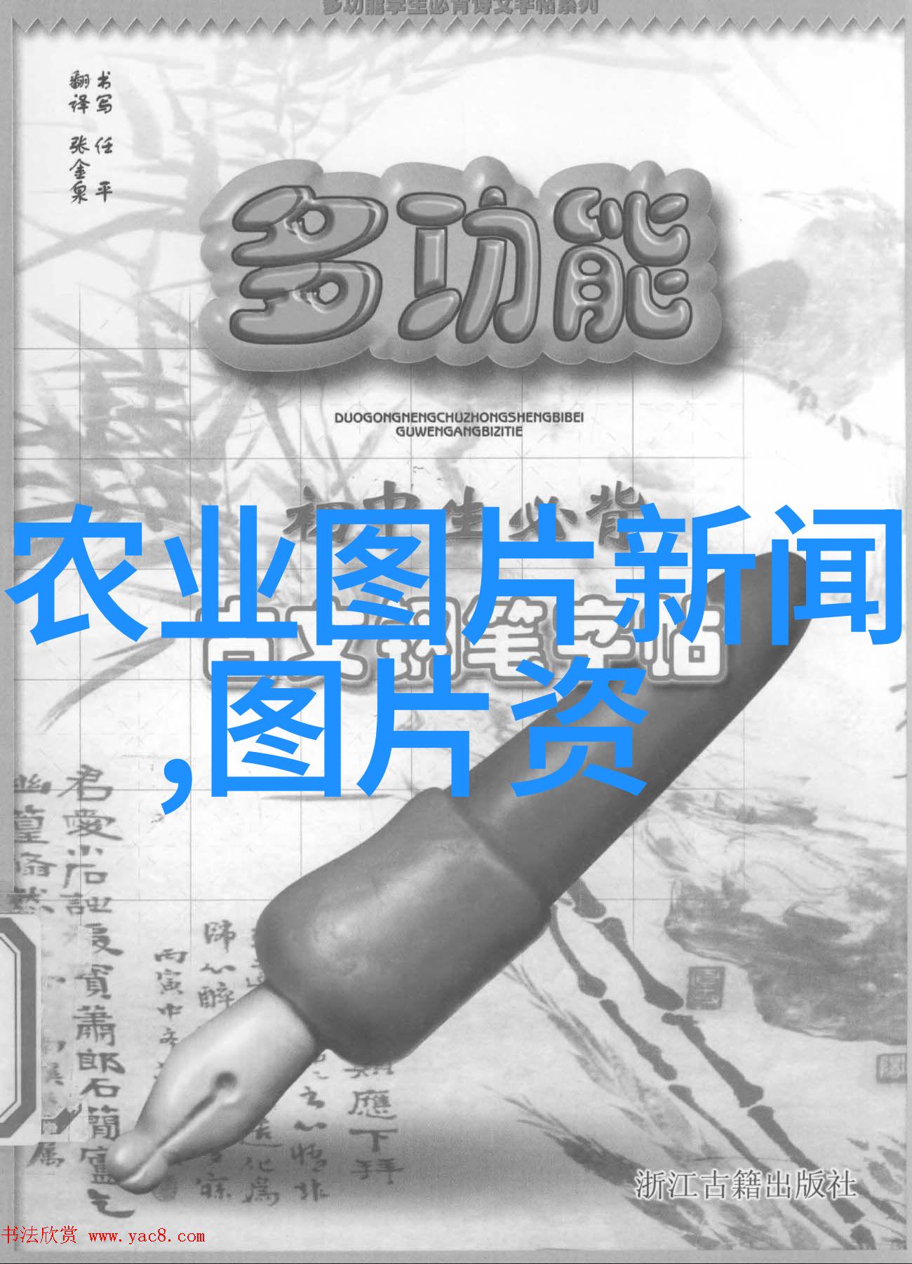 果蔬未来种植之梦与市场之光