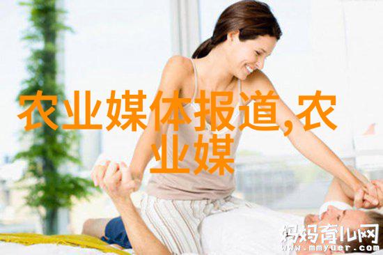 大数据时代下的财务管理新篇章智能决策与风险控制