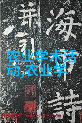药王之路探秘价值4百万的一斤中药材