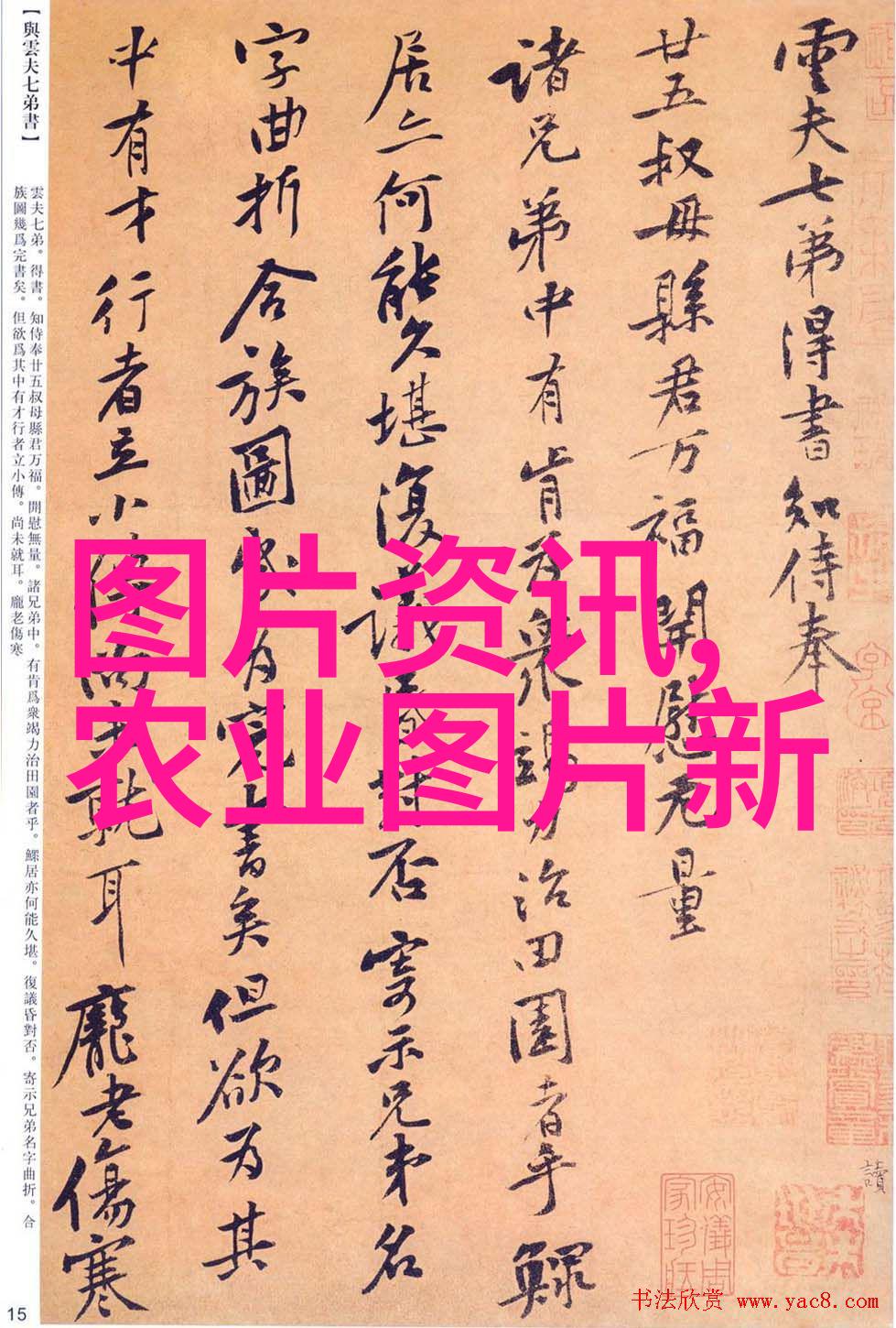 我是农机市场的新手我眼中的农机市场种植者们的勤劳与技术