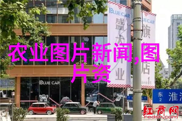 中药材种苗多样化探索传统与现代的结合之道